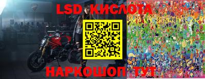 стафф Донской