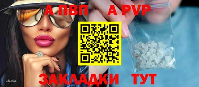 стафф Донской