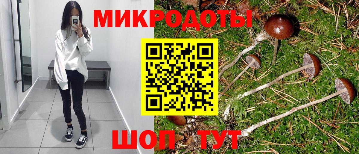 Галлюциногенные грибы мухоморы Кунгур