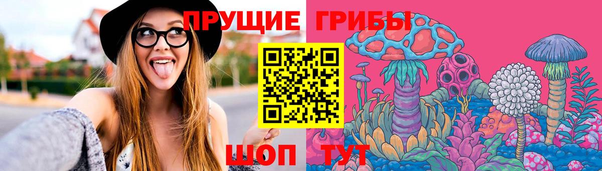 Псилоцибиновые грибы ЛСД  Вход с VPN  Кунгур  Галлюциногенные грибы Psilocybe 